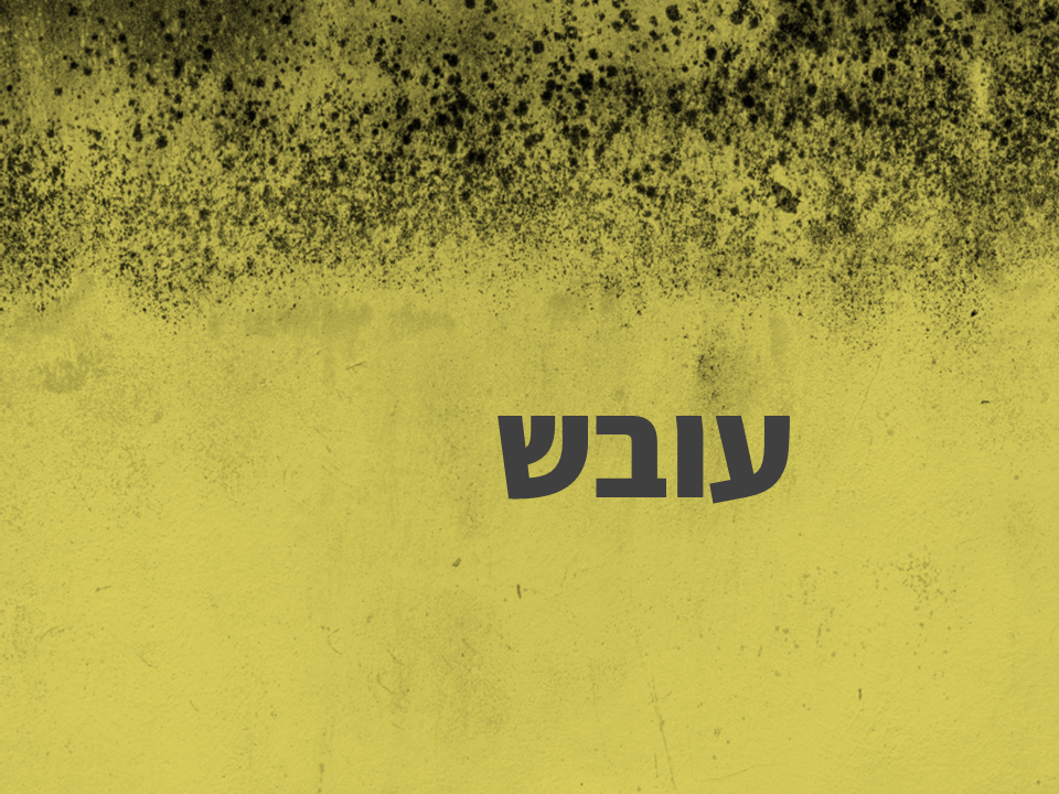עובש