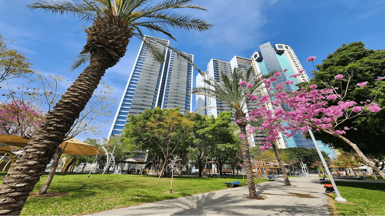 דירה למכירה בתל אביב 3 חדרים חדשה במגדלי גינדי יד אליהו